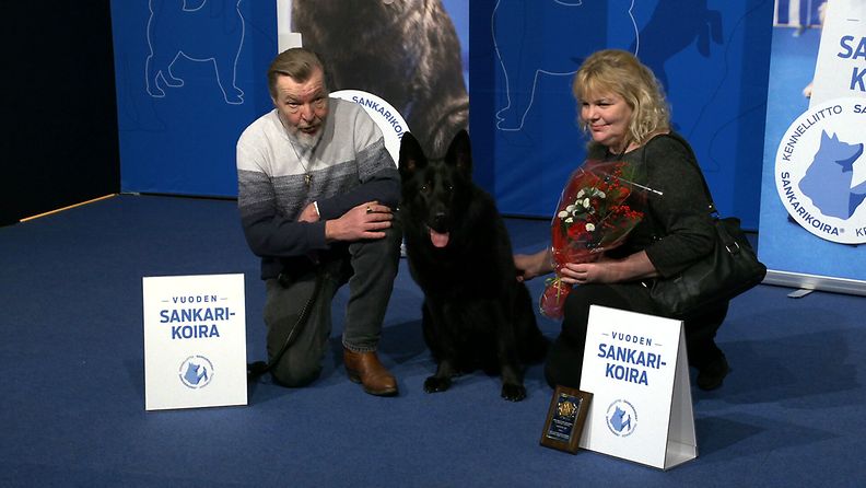 Rosso-koira oli yksi sankarikoirista. Sankarikoirat 2023 palkittiin sunnuntaina Koiramessuilla Helsingin Messukeskuksessa 17.12.2023.