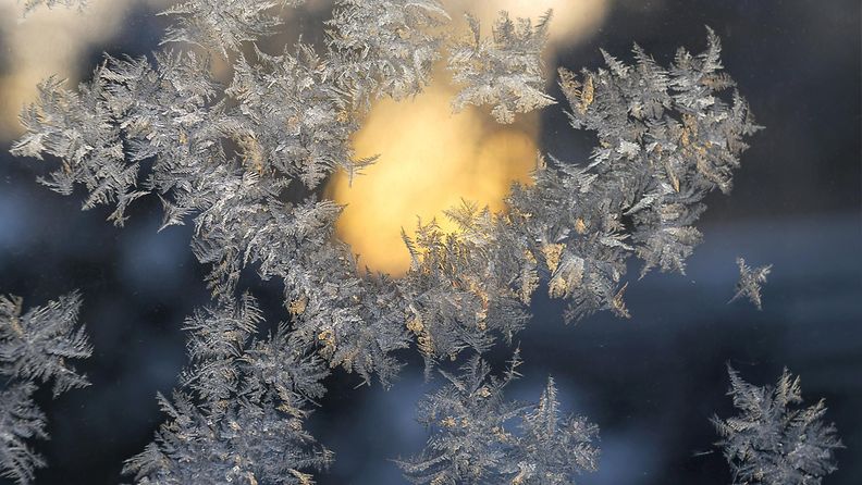 Kuurankukkia ikkunassa aurinkoisessa ja kylmässä säässä Fallkullassa Tapanilassa Helsingissä 5. tammikuuta 2022.