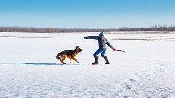 Mies leikkii koiran kanssa talvella ulkona
