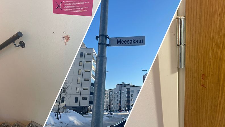 Meesakatu kansikuva