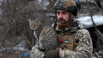 Ukrainan 93. mekanisoidun prikaati tykkimies piteli kissaa sylissään Bahmutin lähistöllä Ukrainassa 20. helmikuuta 2024.