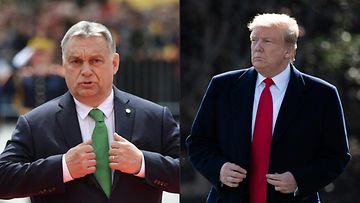 LK Orban ja Trump