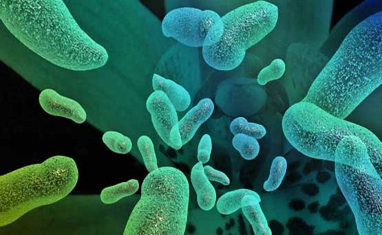 Tunnetuille antibiooteille vastustuskykyistä bakteeria on havaittu Intiassa reissanneilta ruotsalaisilta.