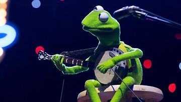 LK 21.3.2024 Muppettien Kermit-sammakko musisoi.