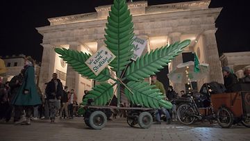 Kannabis lailliseksi aikuisille Saksassa