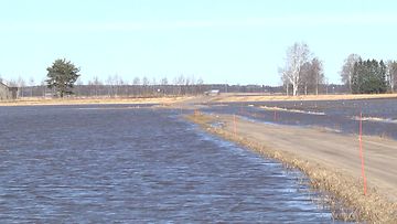 Tulvatilanne näyttää Pohjanmaalla tänä keväänä pahimmalta sitten vuosien 2018 ja 2013. Tulvat ovat muun muassa katkoneet teitä ja saartaneet taloja.