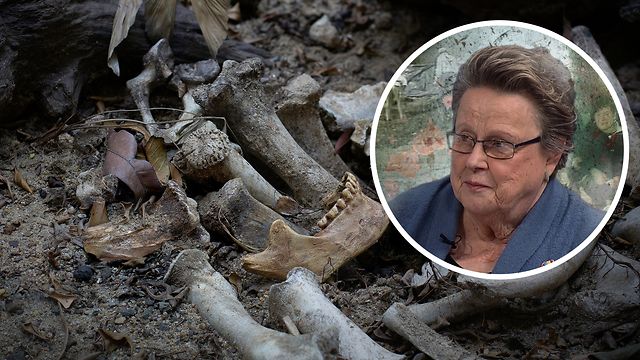 Gerri Ranta Henkirikokset - Uutiset - MTVuutiset.fi