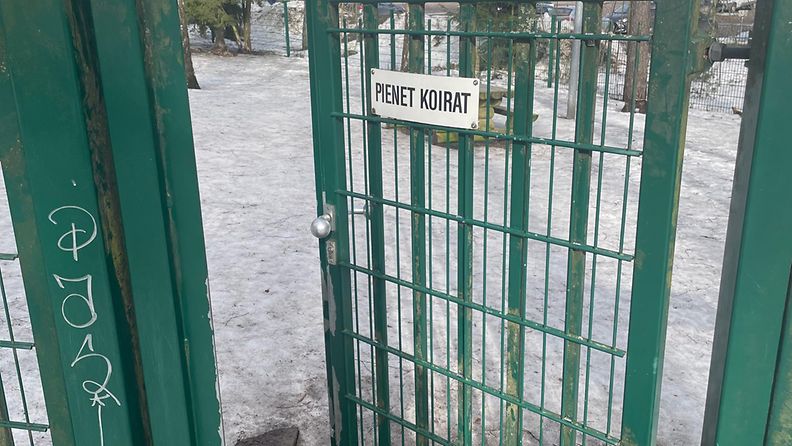 pienet koirat koirapuisto