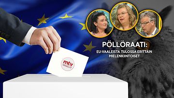 MTV AOP Pöllöraati EU-vaalit 1705 Husu