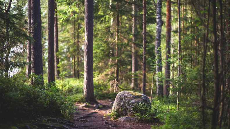 repoveden kansallipuisto