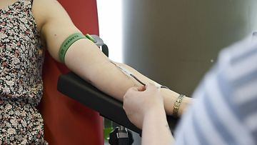 LK 25.6.2024 Verenluovutusta Punaisen Ristin Veripalvelun verenluovutuspisteessä Helsingissä 29. kesäkuuta 2023.