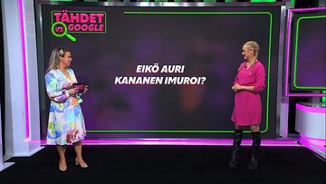 TVSG Auri Kananen ei imuroi