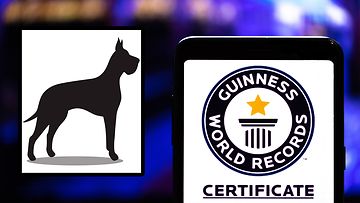 ennätyskorkea koira guinness world records etukuva