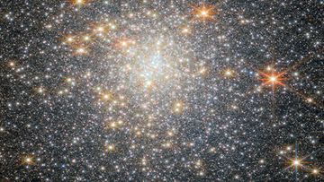 Pallomainen tähtijoukko, joka sisältää satoja tuhansia tähtiä