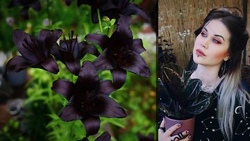 1207 goottipuutarha mustia liljoja ida