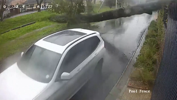 Autoilija vältti täpärästi kaatuvan puun, kun raju myrsky riepotteli Etelä-Afrikan Kapkaupunkia