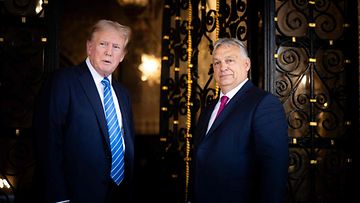 Republikaanien presidenttiehdokas Donald Trump ja Unkarin pääministeri Viktor Orbán Floridassa 11. heinäkuuta.
