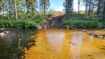 Metsäkoneen jättämiä jälkiä Hukkajoessa.