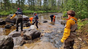 Metsähallituksen projektipäällikkö Pirkko-Liisa Luhta (oik.) Suomussalmen Hukkajoella 23. elokuuta 2024.