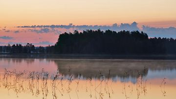 Maisema Patvinsuon kansallispuistosta Suomunjärveltä Kaunisniemestä 15.8.2024.