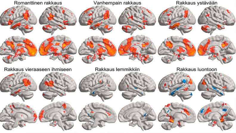 rakkauden lajit aivotoiminnassa Aalto-yliopisto