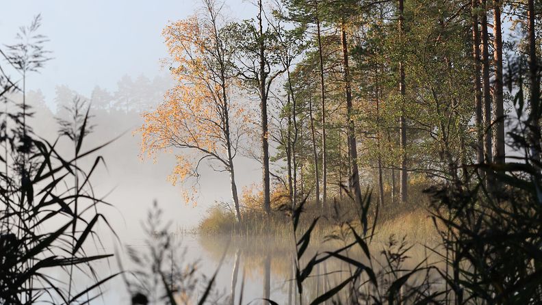 Kaunis syyskuun viimeinen aamu Tammelassa