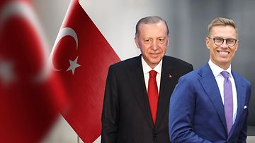 Stubb, Erdogan, vierailu