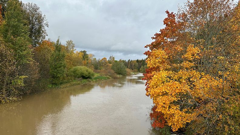 Ruska, Vantaanjoki, syksy