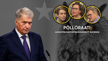 0111-POLLORAATI-NIINISTO