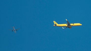 AOP Spirit Airlines 11.11.2024