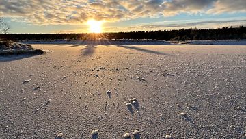 Talviaurinko