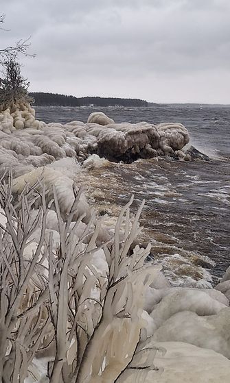 Oulujärven rantaa Säräisniemellä.