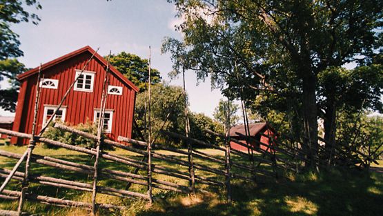 Tässä ovat Suomen yleisimmät sukunimet – kuulutko joukkoon? 