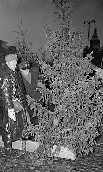 Joulukuusikauppaa Kauppatorilla 1954.